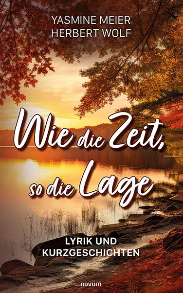 Cover von Wie die Zeit, so die Lage