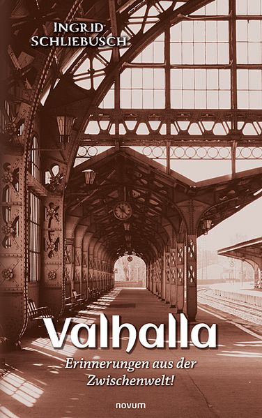 Cover von Valhalla – Erinnerungen aus der Zwischenwelt!
