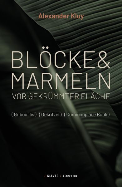 Cover von Blöcke und Marmeln vor gekrümmter Fläche