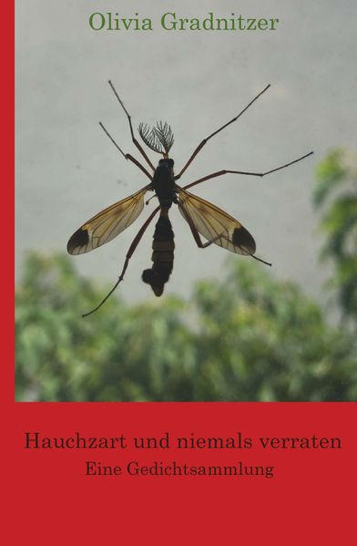 Cover von Hauchzart und niemals verraten