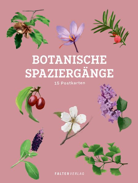 Cover von Botanische Spaziergänge – Postkartenbuch