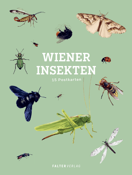 Cover von Wiener Insekten – Postkartenbuch