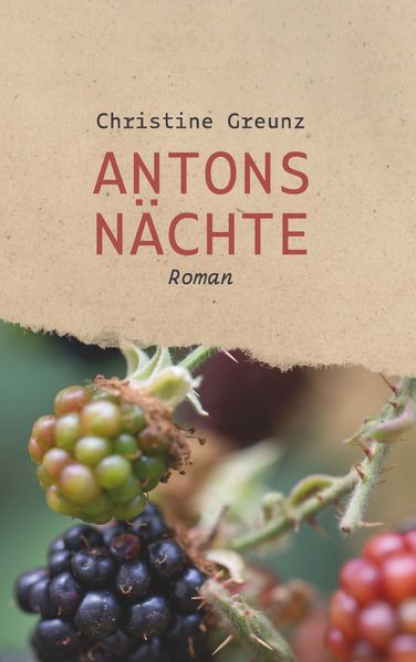 Cover von Antons Nächte
