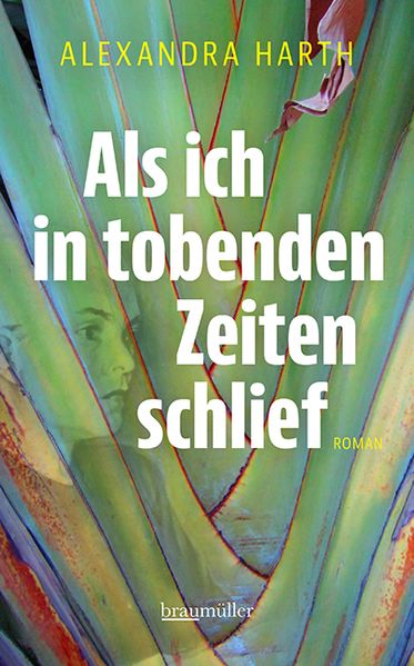 Cover von Als ich in tobenden Zeiten schlief