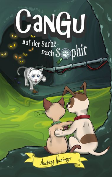 Cover von CanGu auf der Suche nach Saphir