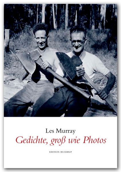 Cover von Gedichte, gross wie Photos