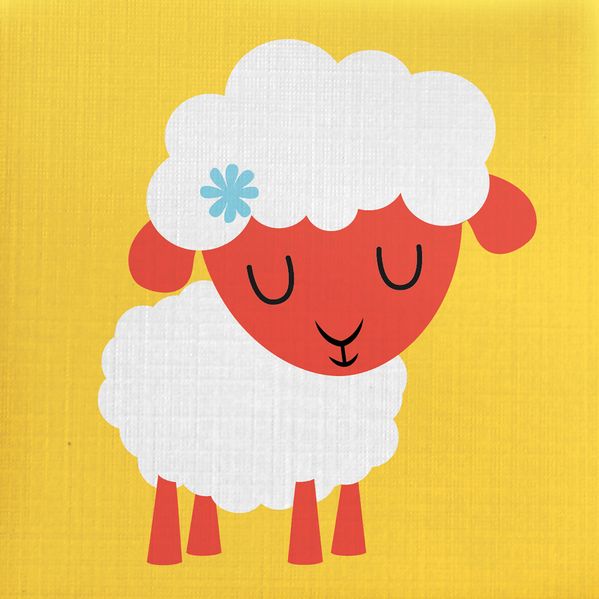 Cover von Knuddel mich! – Schaf