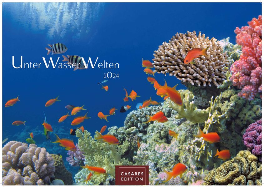 Cover von Unterwasserwelten 2024 L 35x50cm