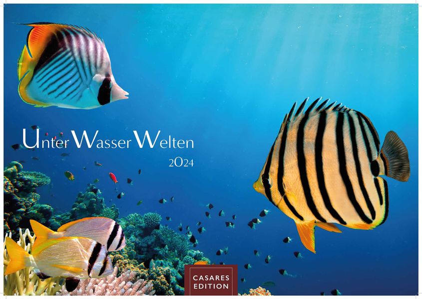 Cover von Unterwasserwelten 2024 S 24x35cm