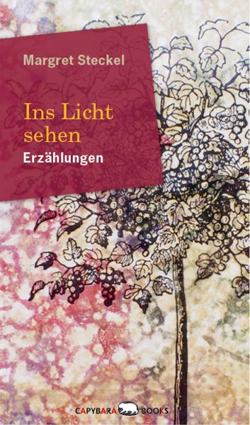 Cover von Ins Licht sehen