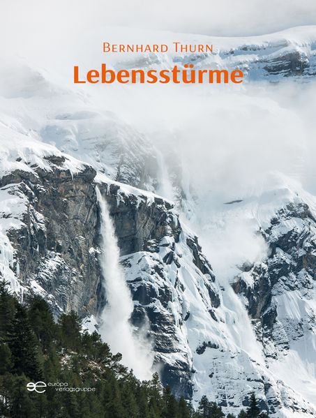 Cover von Lebensstürme