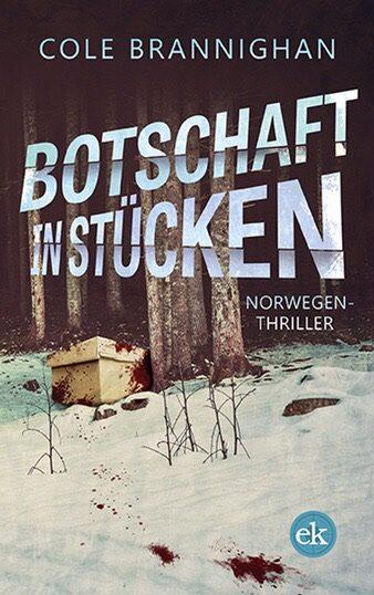 Cover von Botschaft in Stücken