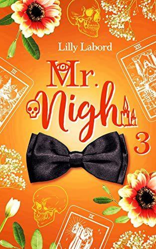 Cover von Mr. Nigh 3